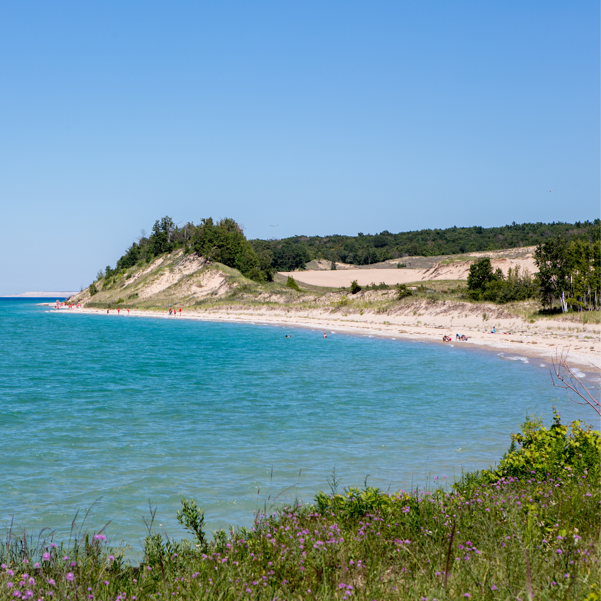 Lake Michigan Shore